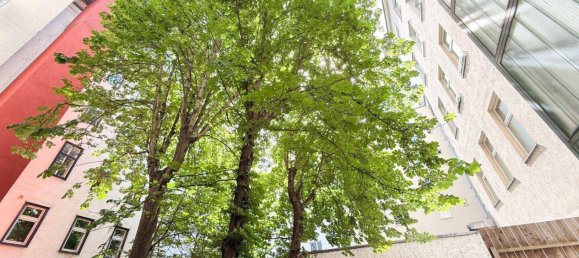 4 rooms Apartment in Leopoldstadt, Austria No. 147544 14