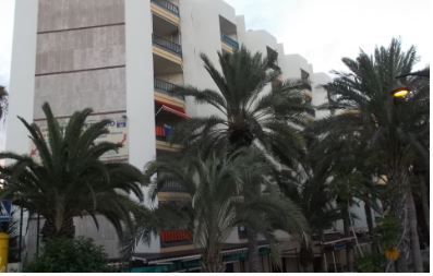 212m² Commercial property in Arona, Spain No. 137729