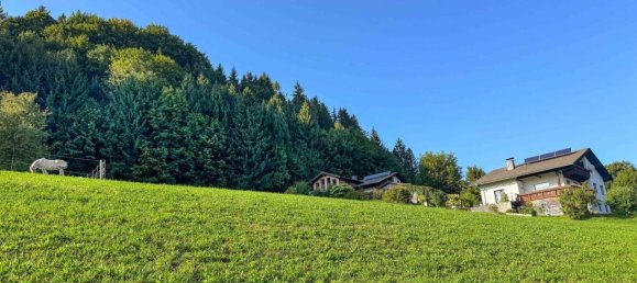 Terreno en Scharnstein, Austria No. 162868 3