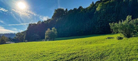 Terreno en Scharnstein, Austria No. 162868 4