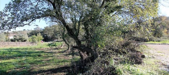 5000m² Hotel in Corfu, Greece No. 5352 5