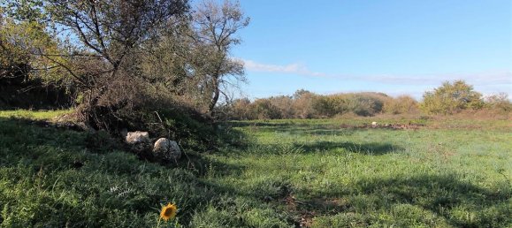 Hotel in Corfu, Greece 5000m², Nr. 5352 8