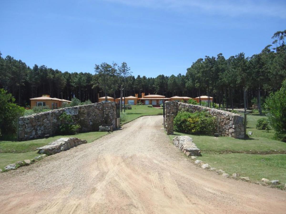  Farm in Maldonado, Uruguay No. 15010