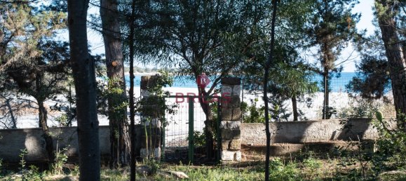 5 bedrooms Villa in Orosei, Italy No. 67873 5