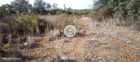 Grundstück in Santa Catarina da Fonte do Bispo, Portugal 8150m², Nr. 73411 2