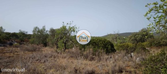 Grundstück in Santa Catarina da Fonte do Bispo, Portugal 8150m², Nr. 73411 6
