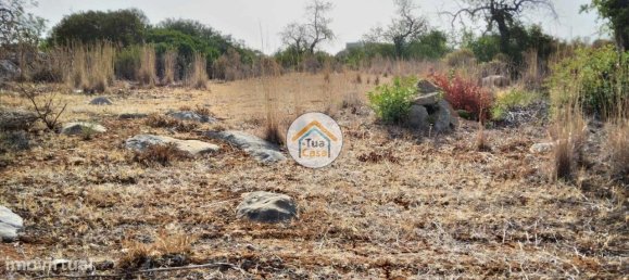 Grundstück in Santa Catarina da Fonte do Bispo, Portugal 8150m², Nr. 73411 11