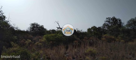 Grundstück in Santa Catarina da Fonte do Bispo, Portugal 8150m², Nr. 73411 8