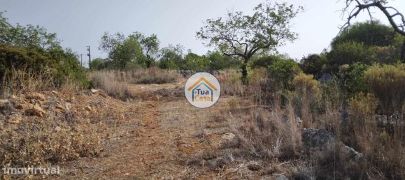 Grundstück in Santa Catarina da Fonte do Bispo, Portugal 8150m², Nr. 73411 9