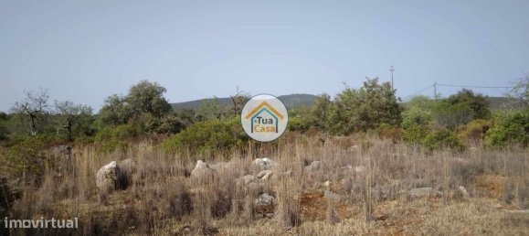 Grundstück in Santa Catarina da Fonte do Bispo, Portugal 8150m², Nr. 73411 10