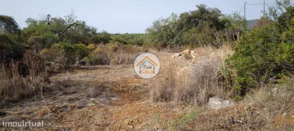 Grundstück in Santa Catarina da Fonte do Bispo, Portugal 8150m², Nr. 73411 15