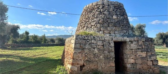 Земельный участок 160м² в Фазано, Италия № 165359 21