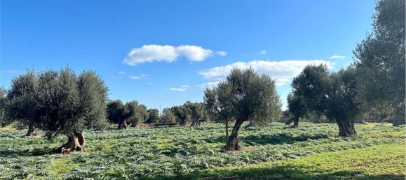 Земельный участок 160м² в Фазано, Италия № 165359 23