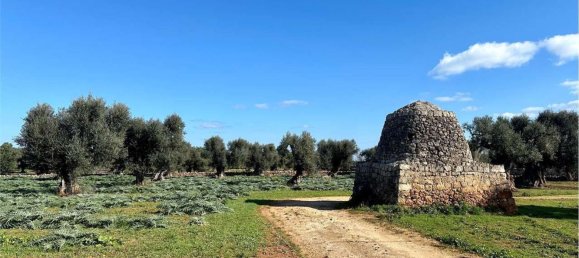 Земельный участок 160м² в Фазано, Италия № 165359 20