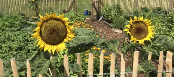 2 chambres Maison à Demmin, Germany No. 194254 3