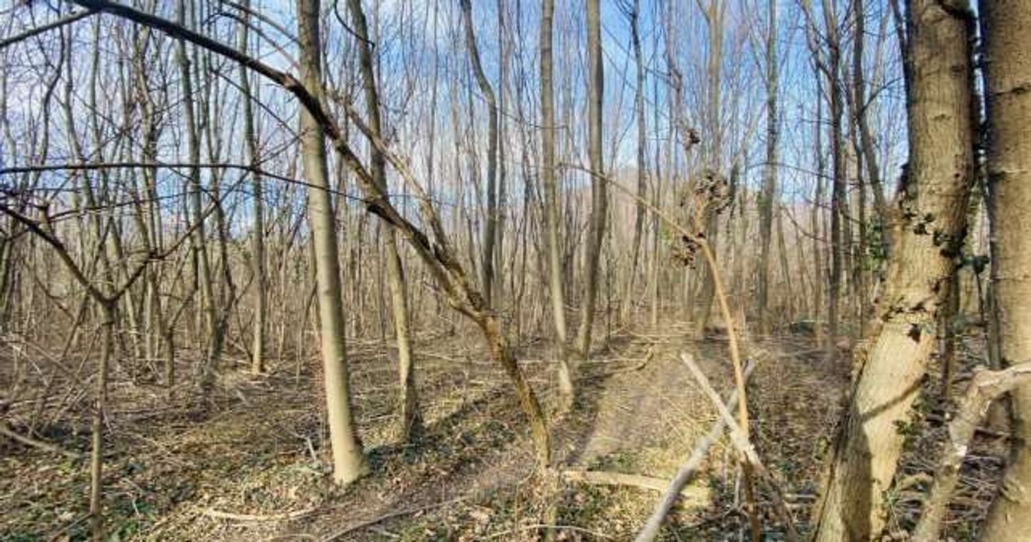  Land in Rosta, Italy No. 379573