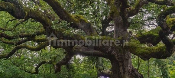 2 bedrooms Apartment in Capannori, Italy No. 42691 9