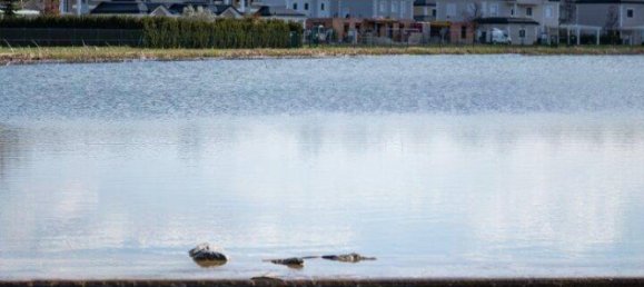 Земельный участок 1221м² в Эбрайксдорф, Австрия № 161154 9