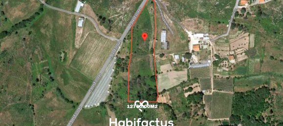 Terrain à Mangualde, Portugal No. 69018 2