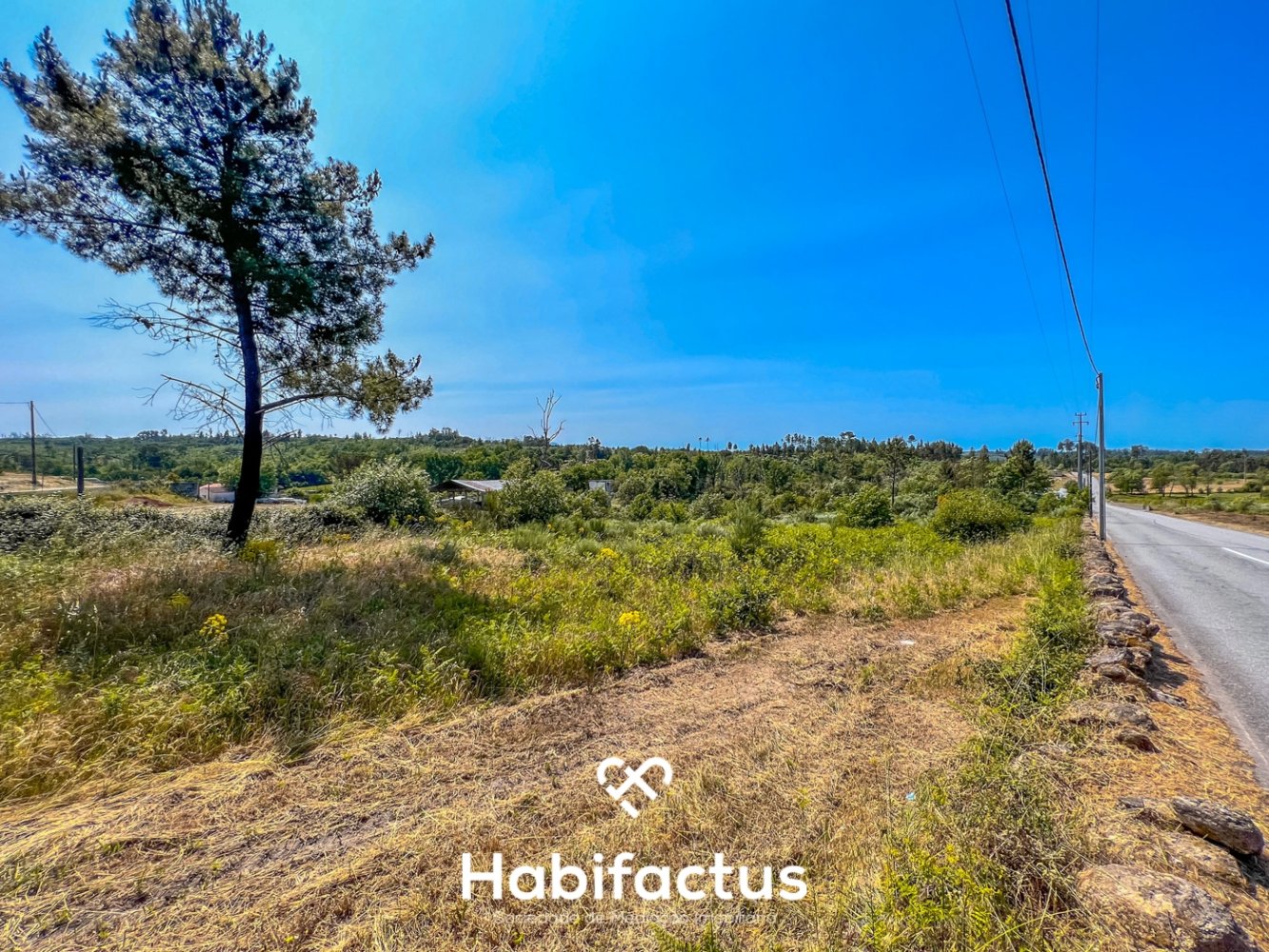 Terrain à Mangualde, Portugal No. 69018