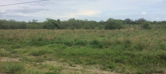 Земельный участок в Либерия, Коста-Рика № 1961 2