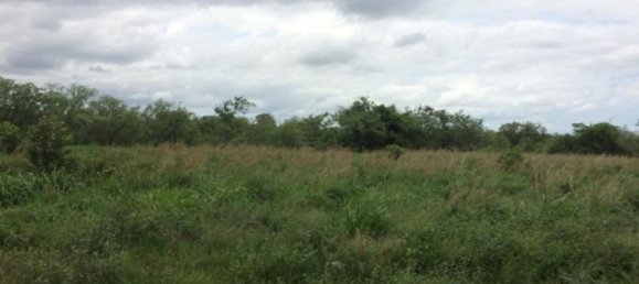 Земельный участок в Либерия, Коста-Рика № 1961 4