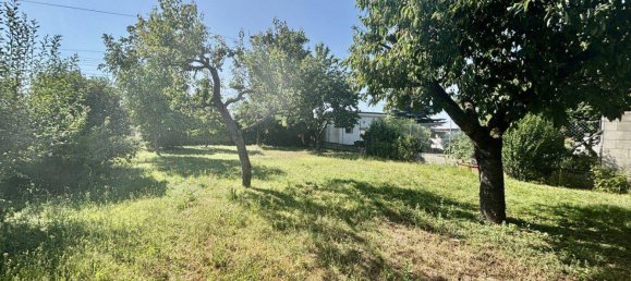 3 rooms House in Frauenkirchen, Austria No. 156028 4