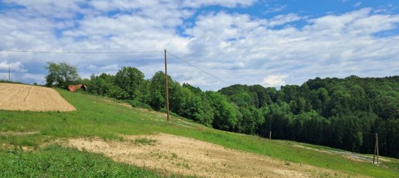 92000m² Land in Kirchbach-Zerlach, Austria No. 234955 3