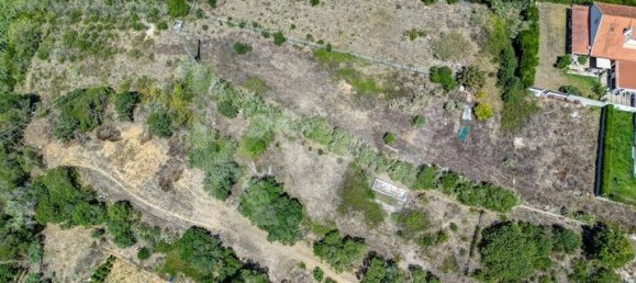 Grundstück in Ericeira, Portugal 3200m², Nr. 159972 12