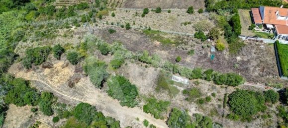 Grundstück in Ericeira, Portugal 3200m², Nr. 159972 6