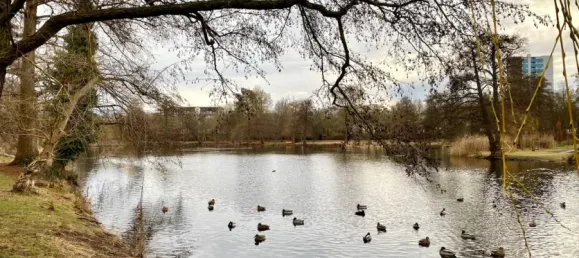 3-salle Appartement à Wilhelmstadt, Germany No. 100735 29