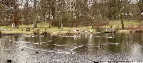 3-salle Appartement à Wilhelmstadt, Germany No. 100735 30