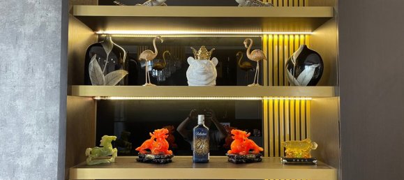 3 bedrooms Apartment in Binh Chanh, Vietnam No. 16971 12