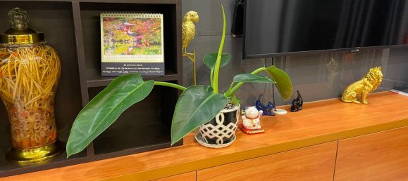 3 bedrooms Apartment in Binh Chanh, Vietnam No. 16971 6