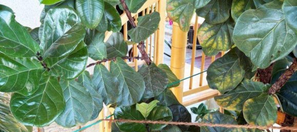 6 rooms House in St. Polten, Austria No. 245996 18