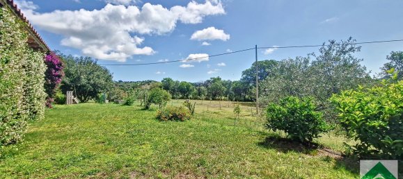 4-Zimmer Haus in Loiri Porto San Paolo, Italy, Nr. 165274 5