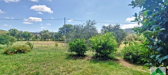 4-Zimmer Haus in Loiri Porto San Paolo, Italy, Nr. 165274 8