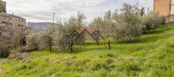  قطعة أرض في Pomarance, Italy 7100متر مربع رقم 72696 2