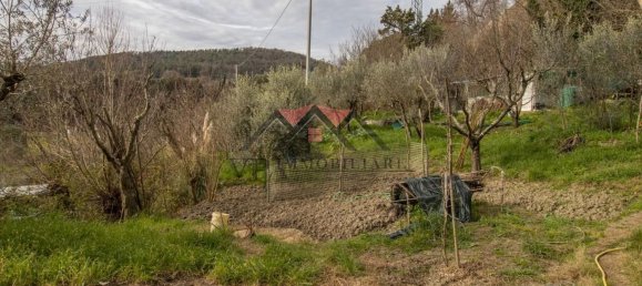  قطعة أرض في Pomarance, Italy 7100متر مربع رقم 72696 3