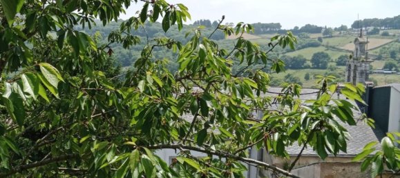 6 bedrooms House in Asturias, Spain No. 147790 11