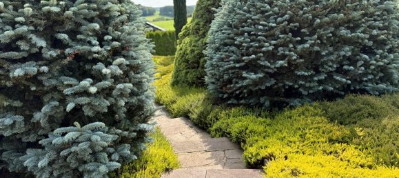 Дом с 5 спальнями в Рейнланд-Пфальц, Германия № 269213 16