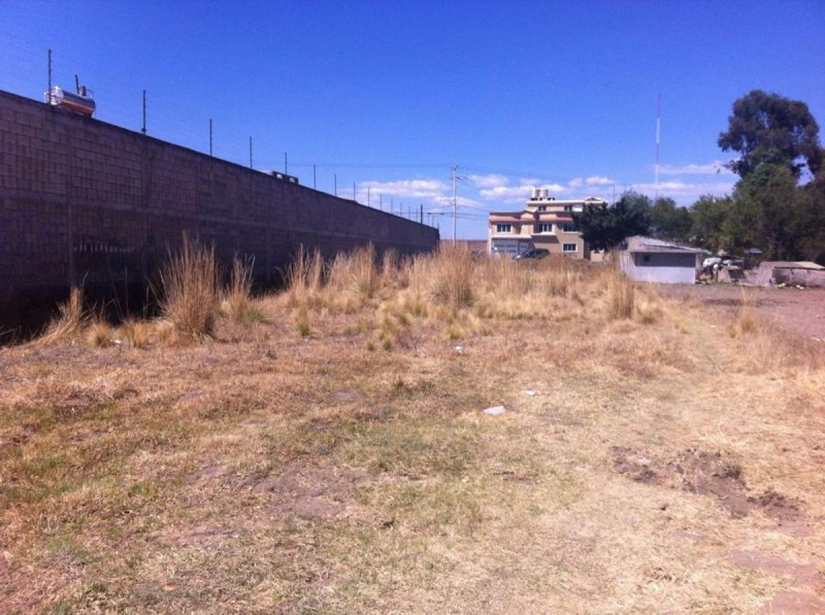  Land in San Buenaventura, Mexico No. 202885