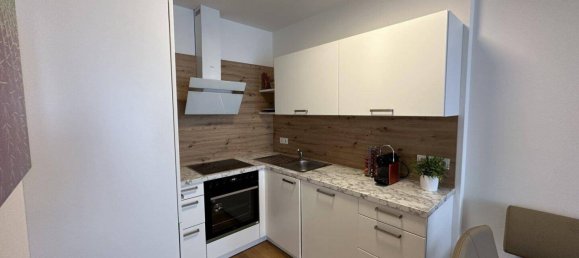 2 rooms Apartment in Leonding, Austria No. 13844 4