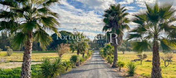 4 bedrooms House in Santiago do Cacem, Portugal No. 116590 33