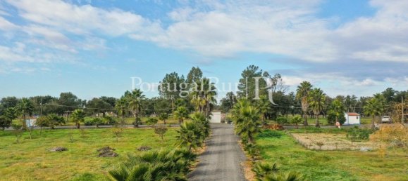 4 bedrooms House in Santiago do Cacem, Portugal No. 116590 49