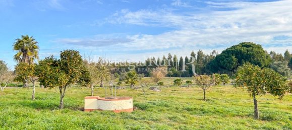 4 bedrooms House in Santiago do Cacem, Portugal No. 116590 40