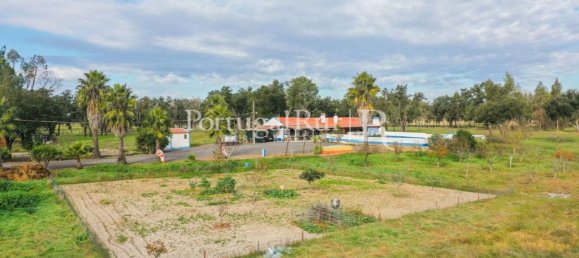 4 bedrooms House in Santiago do Cacem, Portugal No. 116590 7