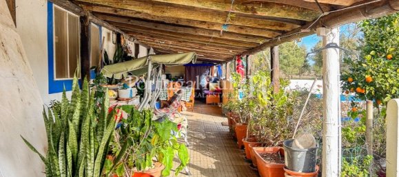 4 bedrooms House in Santiago do Cacem, Portugal No. 116590 25