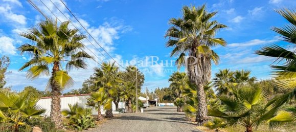 4 bedrooms House in Santiago do Cacem, Portugal No. 116590 8