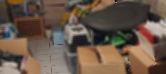 1 Schlafzimmer Haus in Ludwigshafen am Rhein, Germany, Nr. 61123 34